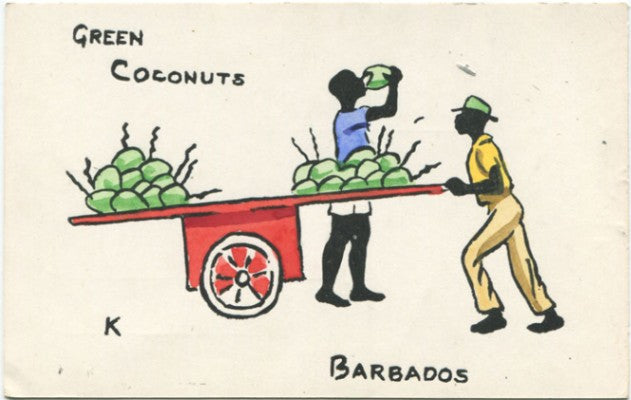 NANK Green coconuts, Barbados