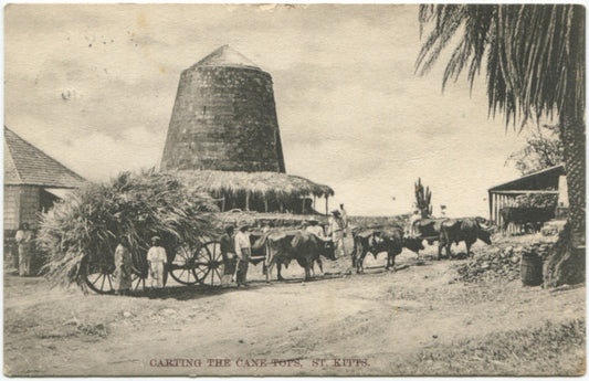 ALGERNON E. ASPINALL.  Carting the Cane Tops, St. Kitts.
